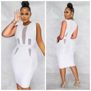 White mesh sleeveless knee length dress